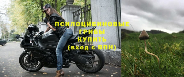 стаф Нефтегорск