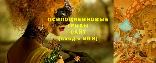 эйфоретик Надым